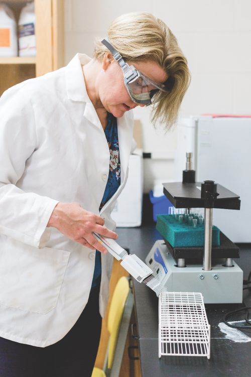 Cheryl Murphy, associate professor of ecotoxicology of fish in the Department of Fisheries and Wildlife, works in her lab. She is hopeful that a lab solely dedicated to PFAs research is in the near future.