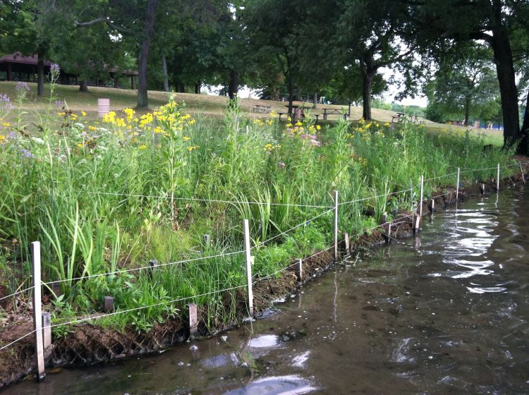 A Certified Natural Shoreline Professional can help you understand a shoreline’s erosion potential. Photo: Melanie Foose l MSU Extension