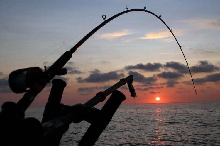 Diversity of fish and fishing experiences along Lake Huron’s sunrise side offers a wealth of opportunities for visitors and communities of northeast Michigan. Photo credit: Brandon Schroeder