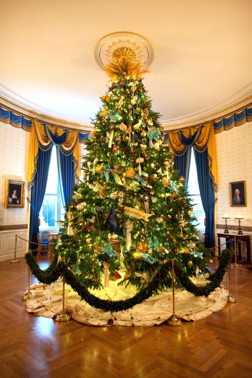 The 2014 official White House Christmas Tree. Photo: Chuck Kennedy via Wikimedia Commons