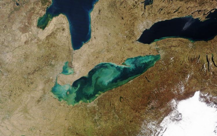 Satellite image of Lake Erie 2017 algae bloom. (Photo by Cooperative Institute for Great Lakes Research).