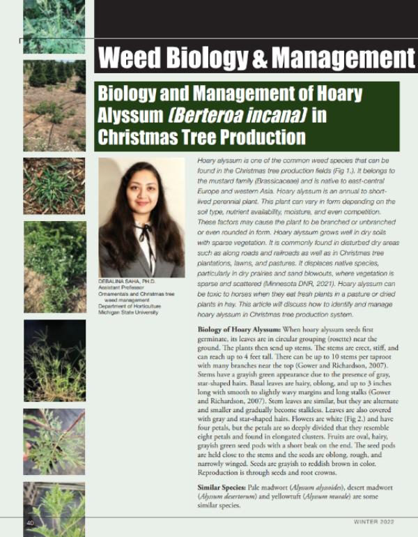A photo of the first page of the resource.