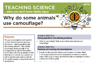 Teaching science when you don't know diddly-squat: Why do some animals use camouflage