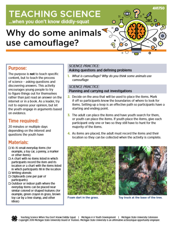 Teaching science when you don't know diddly-squat: Why do some animals use  camouflage - 4-H