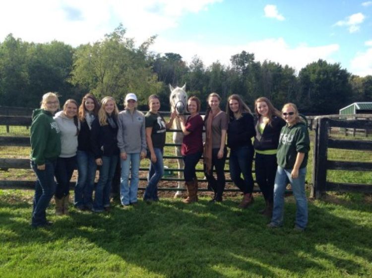 The 2014 MSU Horse Judging Team. | MSU Extension