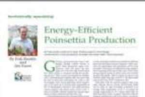 Energy-efficient poinsettia production