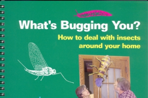 What's Bugging You? How to Deal with Insects Around Home (E2649)