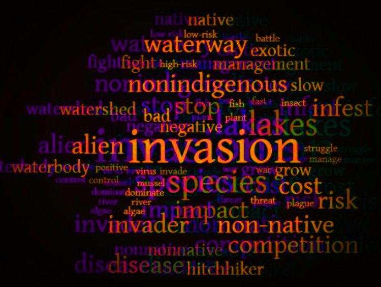 A word cloud of frequently used terms in invasion biology, used for sentiment analysis. Graphic by El Lower.
