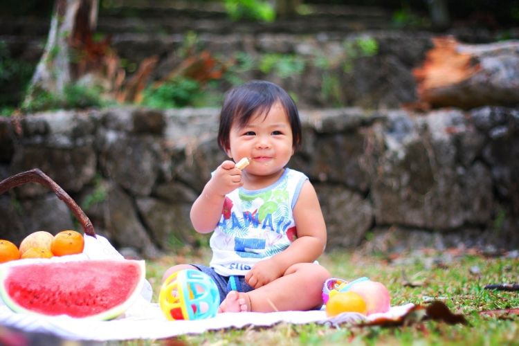 Toddler in front of fruits at a picnic.