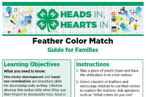 Heads In, Hearts In: Feather Color Match