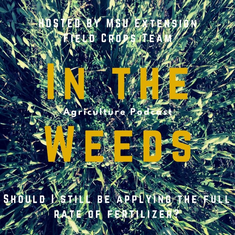 In the Weeds promo graphic