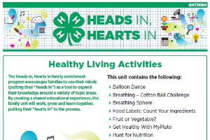 Heads In, Hearts In: Full Healthy Living Activity Book