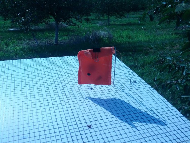 A pouch trap used in Japanese beetle trials.
