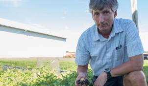 Dave Douches is director of Michigan State University Potato Breeding and Genetics Program