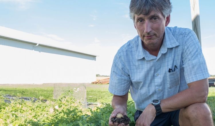Dave Douches is director of Michigan State University Potato Breeding and Genetics Program