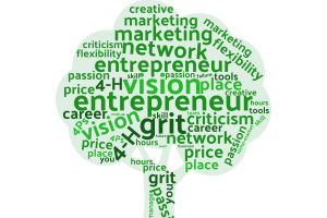 4-H Entrepreneurship Guidelines