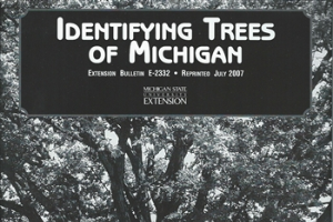 Identifying Trees of Michigan (E2332)