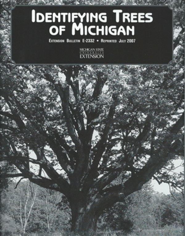 Identifying Trees Of Michigan E2332 Msu Extension