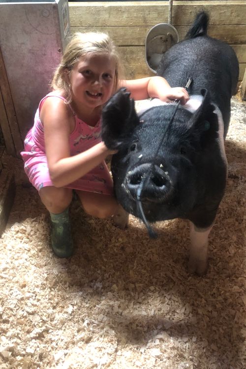 Child posing with a pig