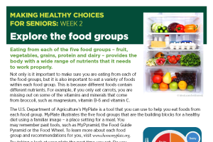 MHC for Seniors: Explore the Food Groups