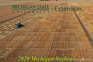 2020 State Soybean Variety Trial