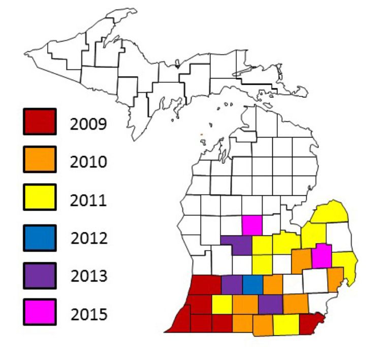 Soybean sudden death syndrome distribution in Michigan.