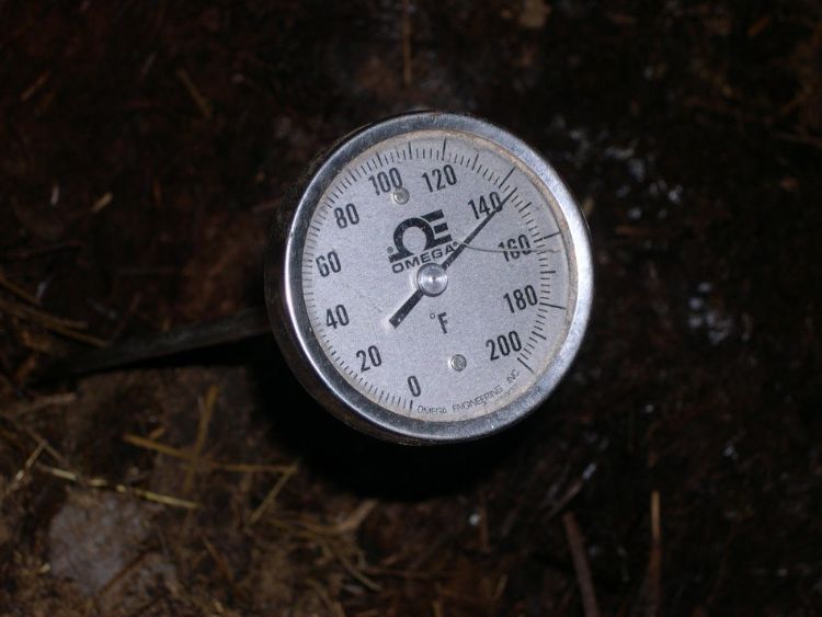 Photo of a compost thermometer.