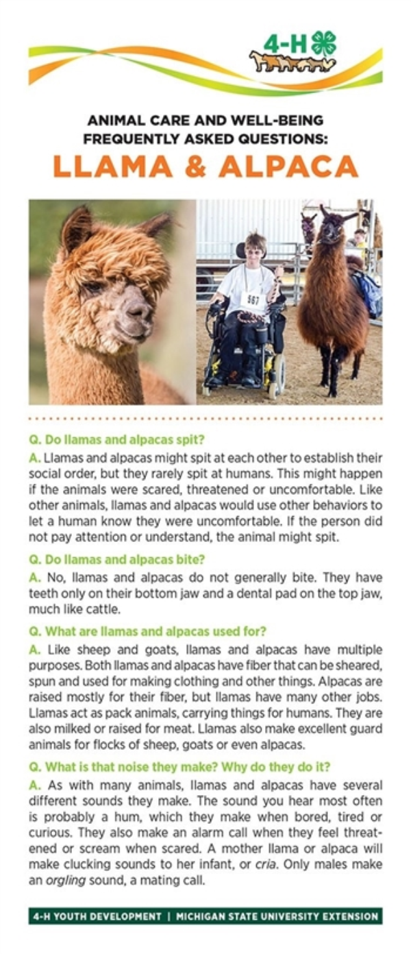 Image of bookmark with llama and alpaca information.