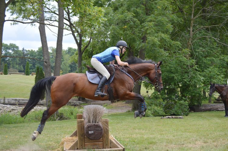 Dr. Stephanie Valberg, Mary Anne McPhail Dressage Chair in Equine Sports Medicine at the Michigan State University College of Veterinary Medicine, riding cross county.