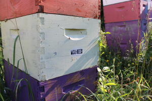 Apiculture Extension update from Michigan State University Extension