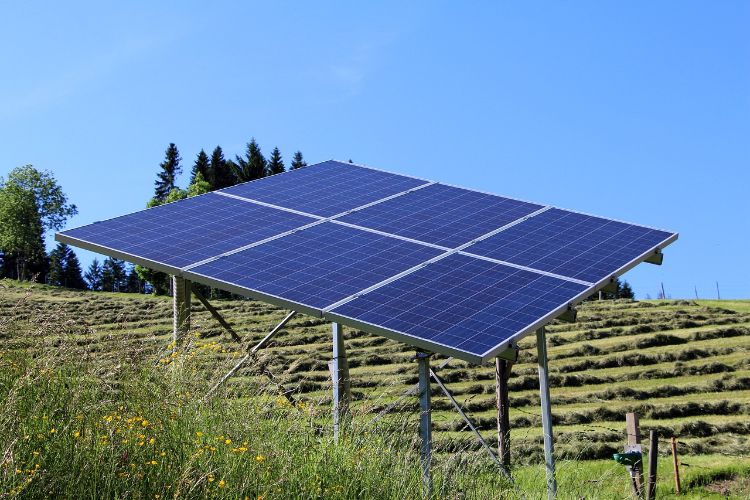 one single solar panel in a hayfield