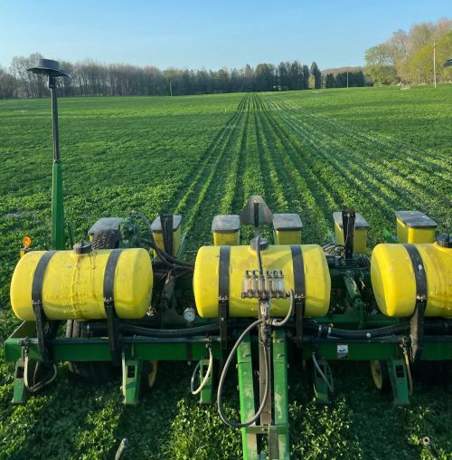 Fertilizer being applied to corn.