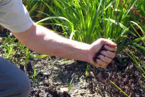 What To Do About Compacted Soil Msu Extension