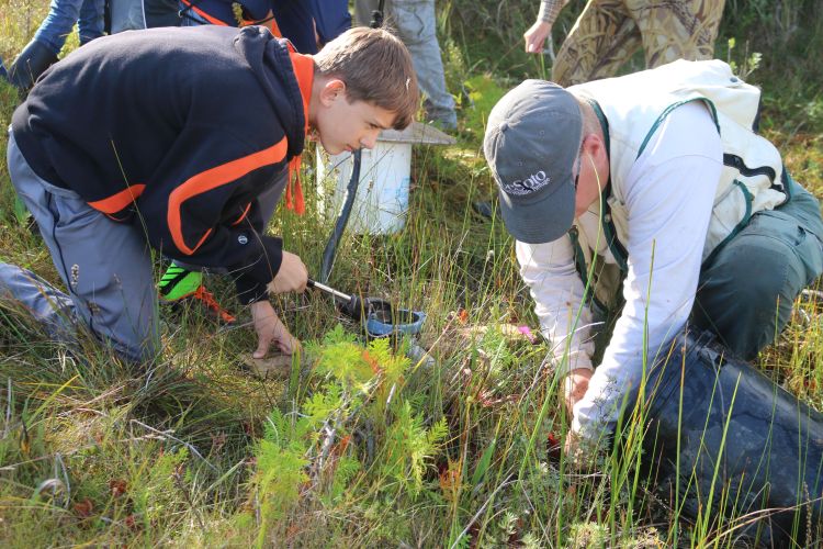 Students assist scientist David Cuthrell in pumping out crayfish burrows in search of endangered dragonfly larvae. Photo: Brandon Schroeder | Michigan Sea Grant