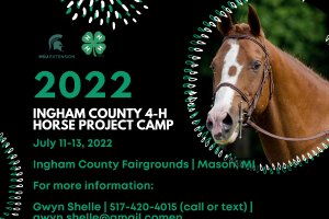 Ingham County 4-H Horse Camp