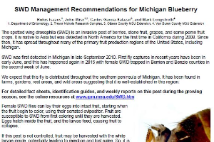 SWD Management Recommendations for Michigan Blueberry (English)
