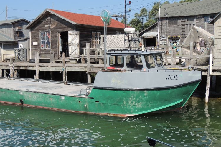 Our Great Lakes fisheries (past, present, and future) can benefit local museum programs, promote Great Lakes literacy, enhance coastal tourism development opportunities, foster educational connections, and support community development efforts.