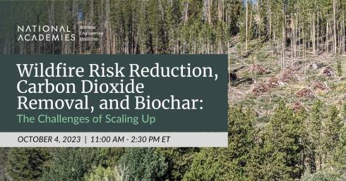 A picture of a forest with a green box with the title of this webinar: 