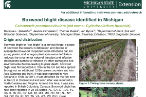 Boxwood Blight Disease Identified in Michigan