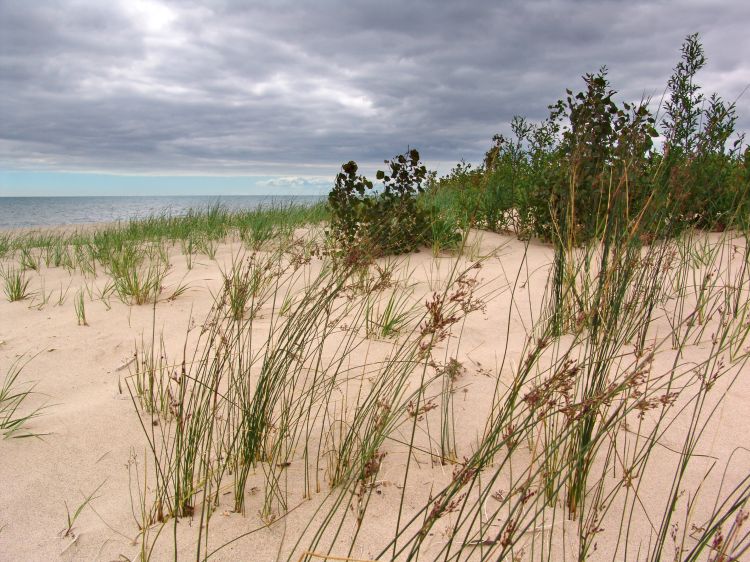 Negwegon State Park. Photo by Brandon Schroeder, Michigan Sea Grant Extension.