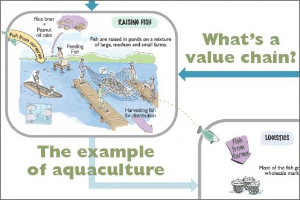 What Is a Value Chain? The Example of Aquaculture