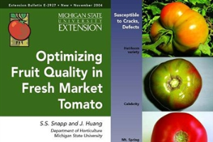 Optimizing Fruit Quality in Fresh Market Tomato (E2927)