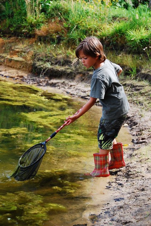 Outdoor learning opportunities are endless! Photo credit: Pixabay.