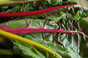 Colorful stems, bright green leaves and a powerhouse of nutrients