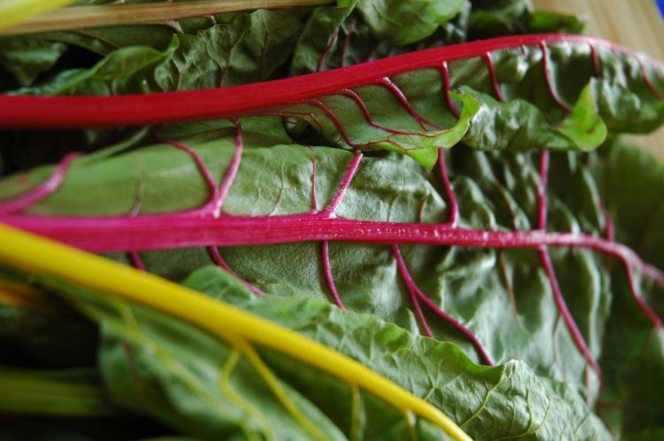 Colorful stems, bright green leaves and a powerhouse of nutrients