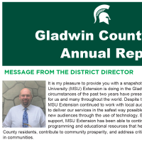 front cover of annual report with green background, title in bold, white font and letter from district director