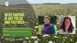 Field Crops Webinar Series continues with weed management in hay and pasture
