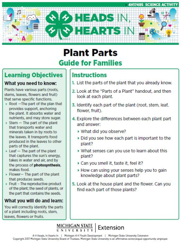 Plant Parts cover page.