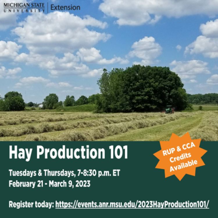 Online Hay Production 101 short course is back by popular demand in 2023 -  Forages