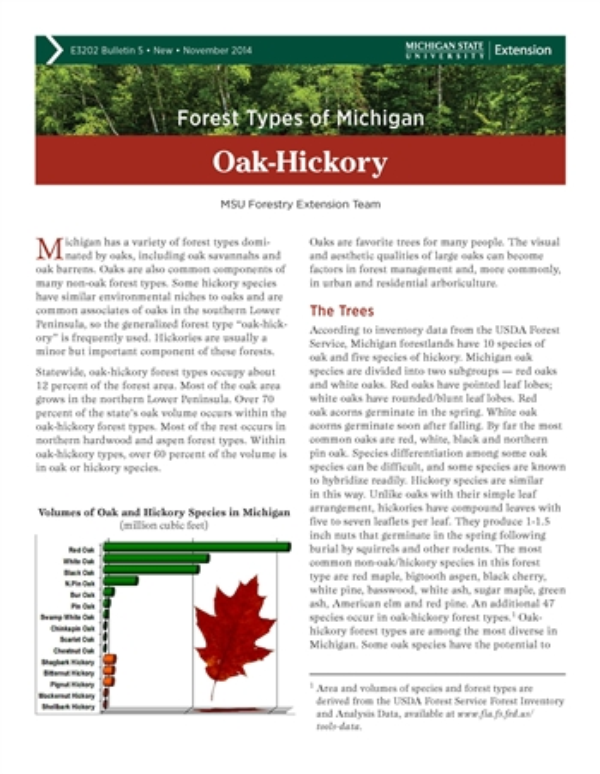 Forest Types Of Michigan Oak Hickory E3202 5 Msu Extension